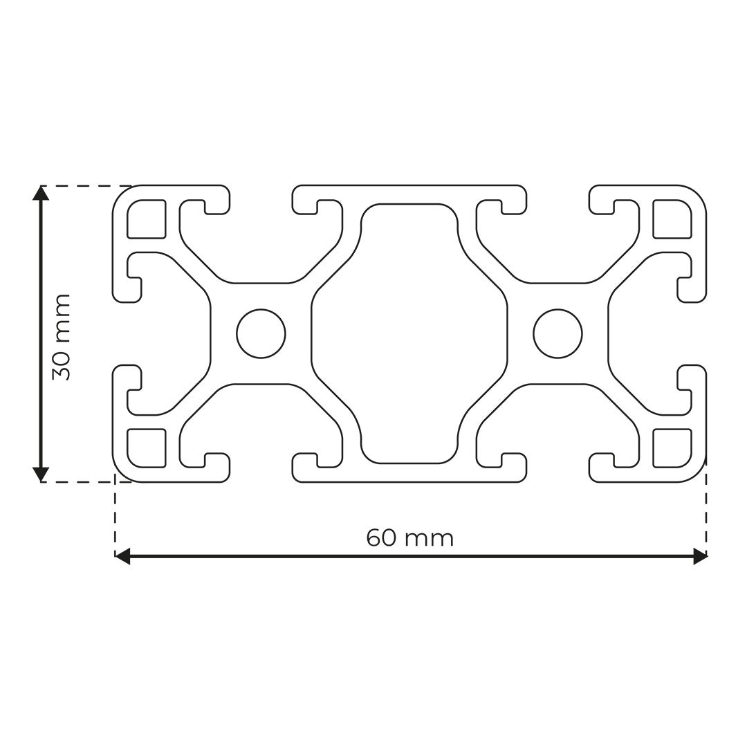 RP3070 aluminium profile 6 60x30 Light