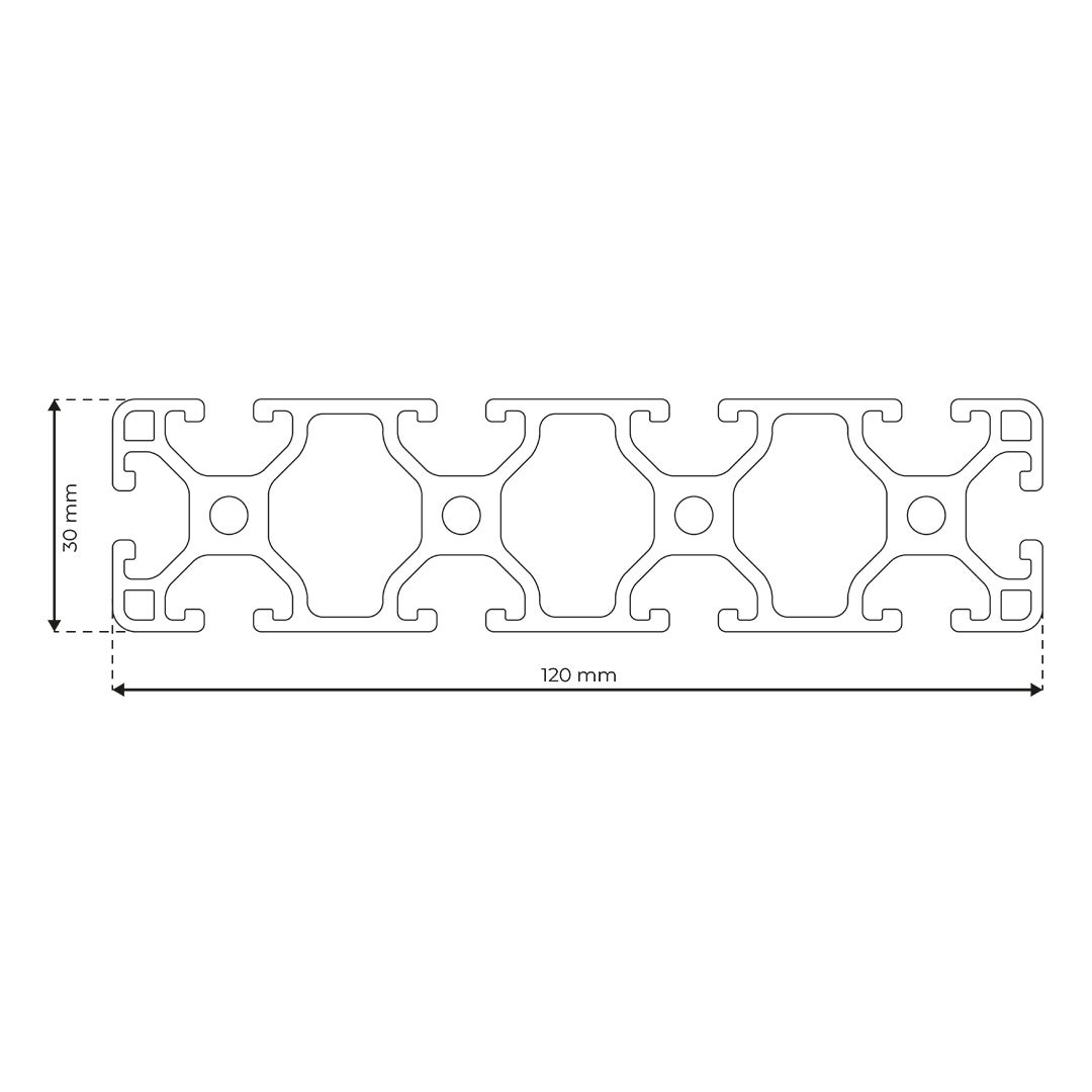 RP3080 aluminium profile 6 120x30 Light